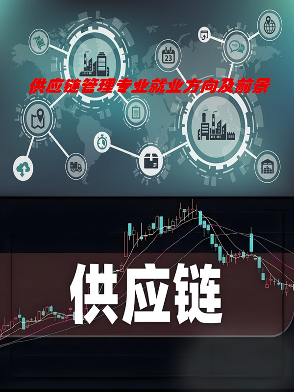 供應(yīng)鏈管理專業(yè) 解鎖智能物流系統(tǒng)集成的黃金賽道